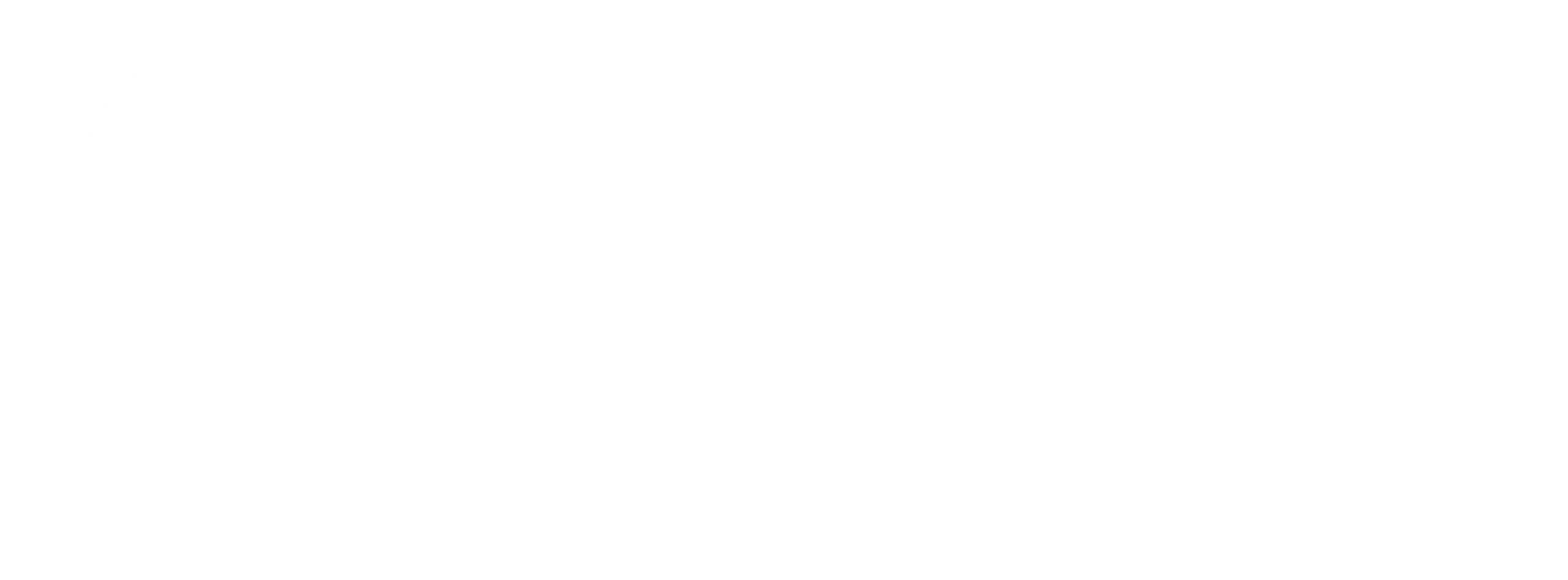 logo_hor_branco_1_2x