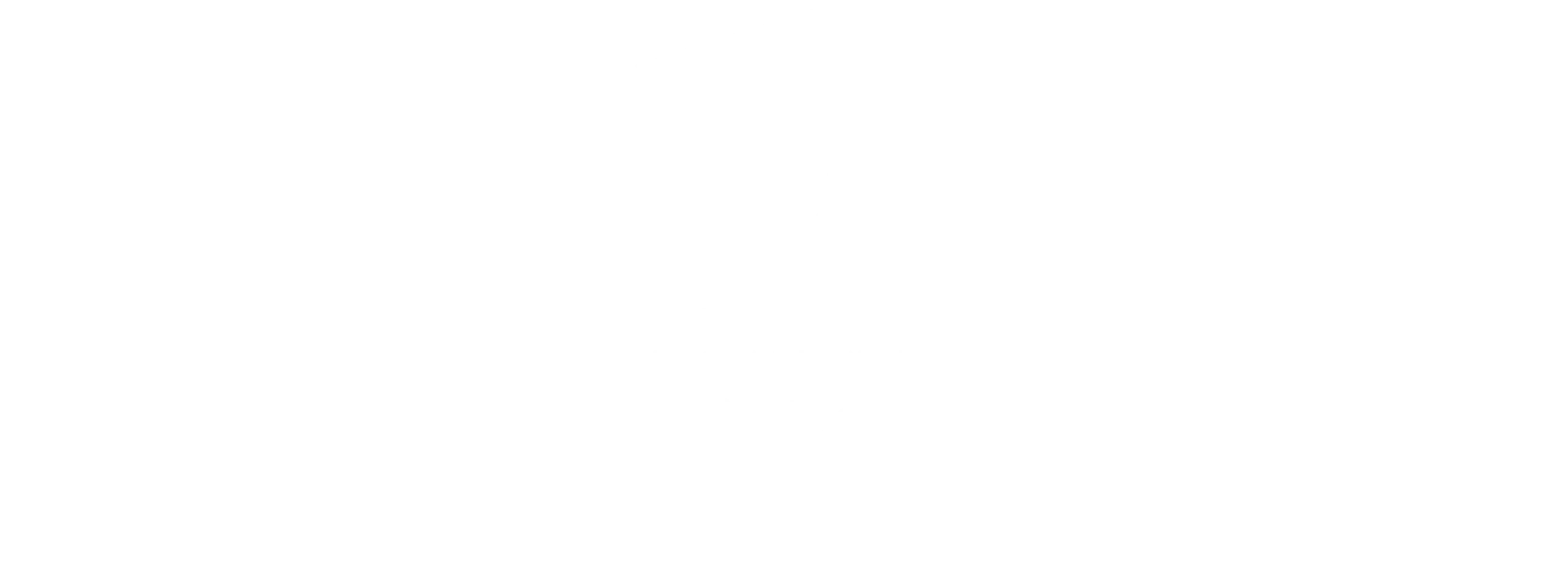 lubi_janga_logotipo_prancheta_1_co_pia_2_1_2x